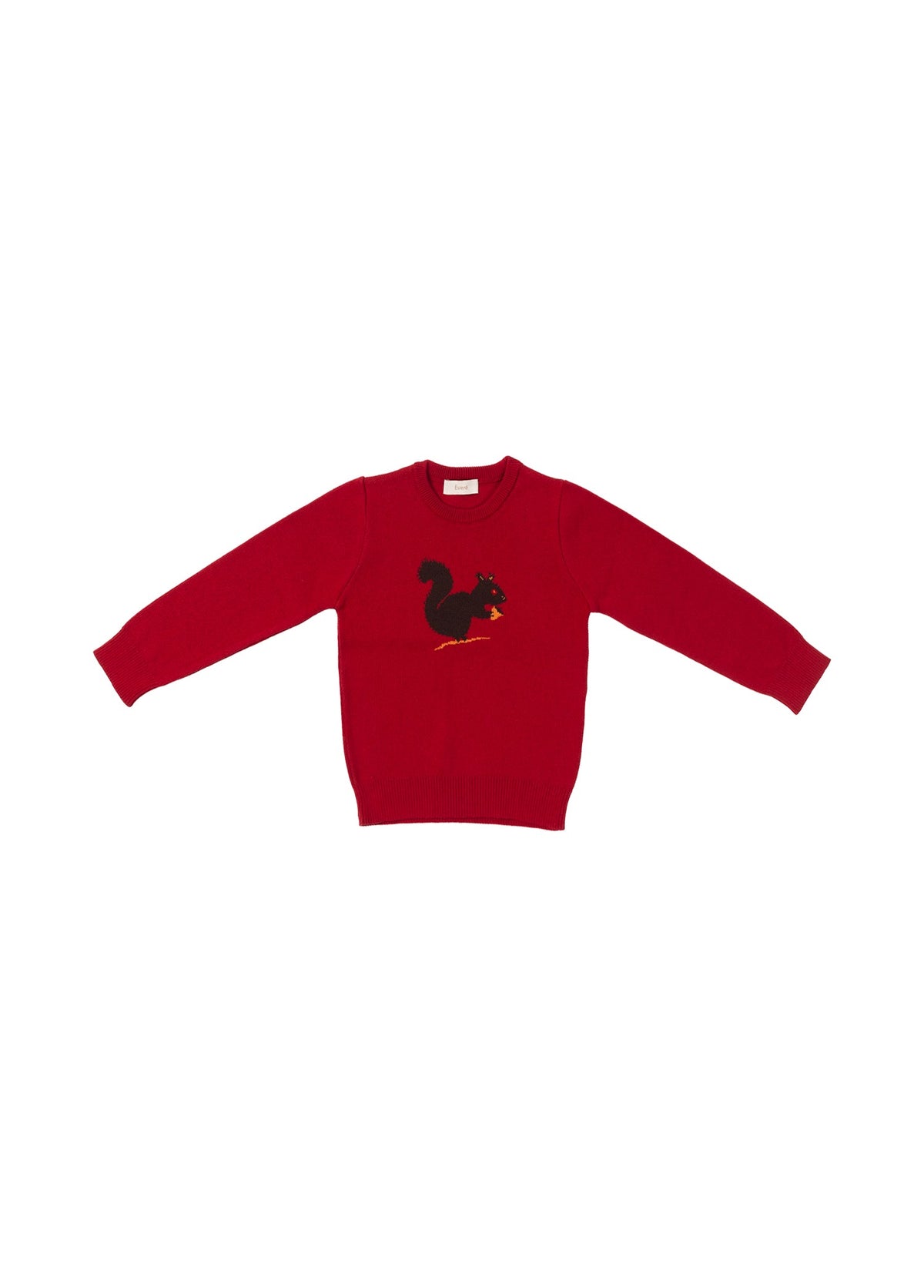 EVERE KIDS Acorn Sincaplı Unisex Triko Kazak