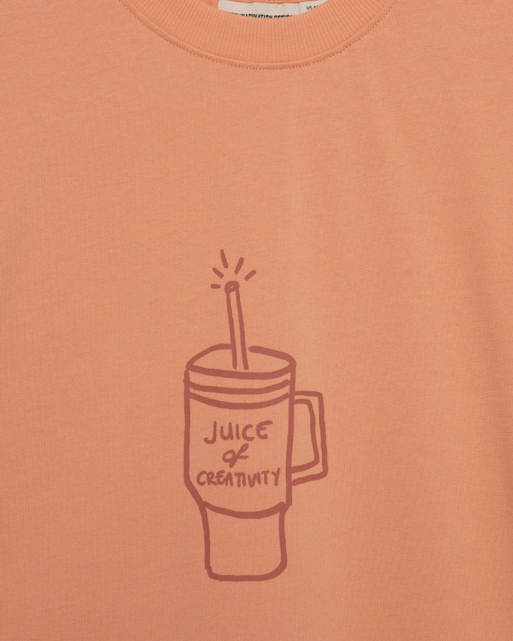 CHIEF IMAGINATION OFFICER Organik pamuk Somon T-Shirt Nº02