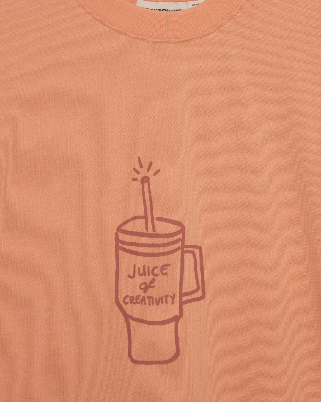 CHIEF IMAGINATION OFFICER Organik pamuk Somon T-Shirt Nº02