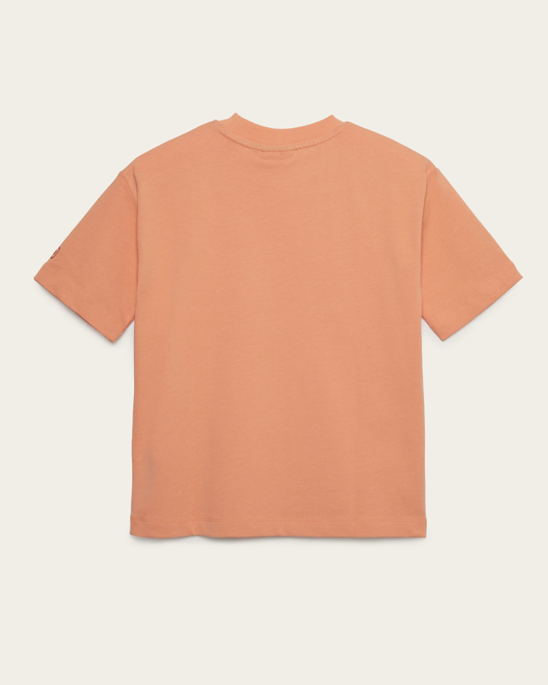CHIEF IMAGINATION OFFICER Organik pamuk Somon T-Shirt Nº02